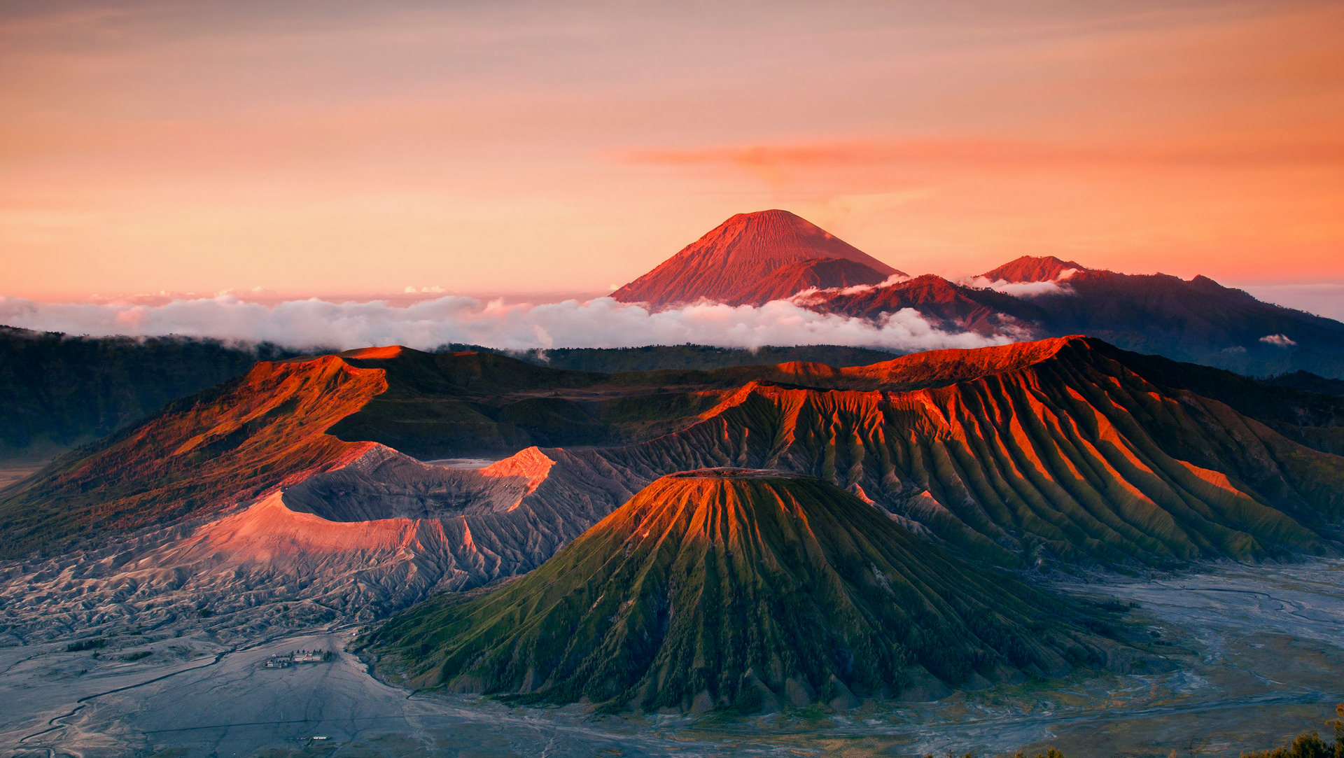 Mount Bromo & Ijen Creature Tour (Start from Malang – Ketapang Harbour)