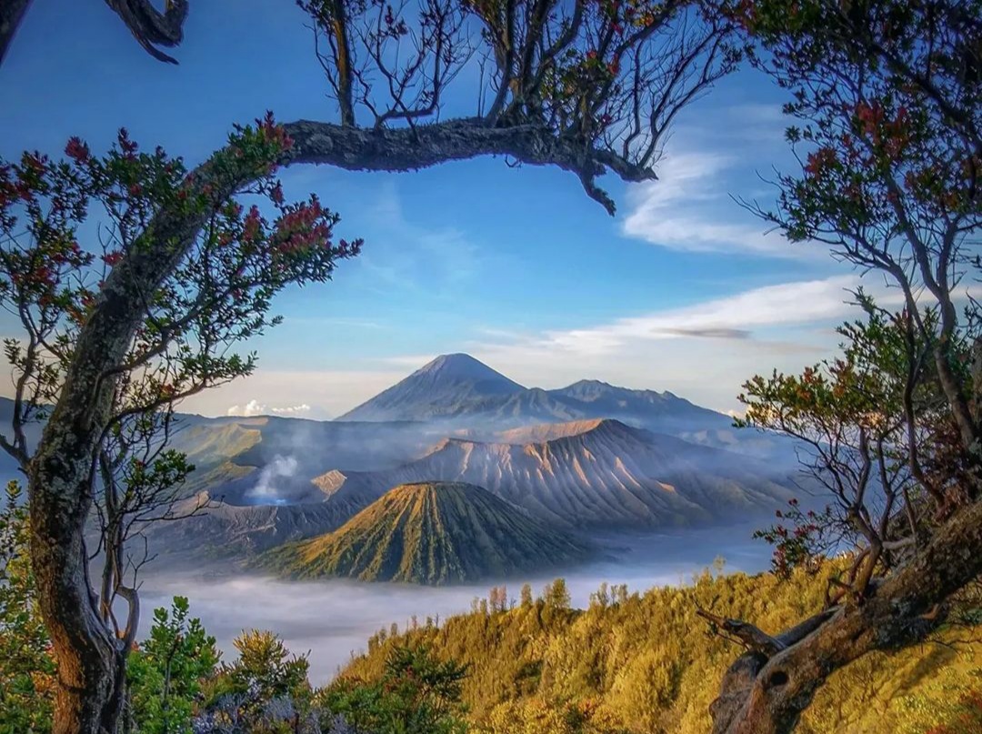 Mount Bromo & Ijen Creature Tour (Start from Probolinggo – Ketapang Harbour)